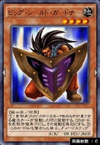 ビッグ・シールド・ガードナー