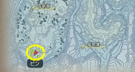 ポケモンアルセウス_オヤブンガブリアスの場所