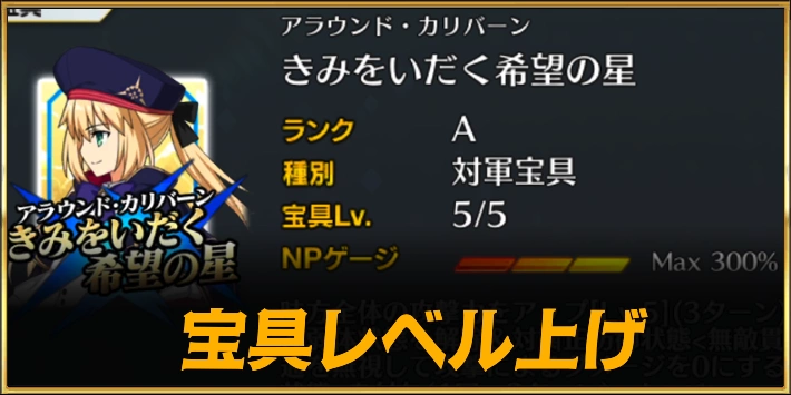 宝具レベル上げ