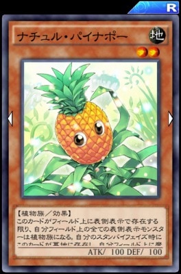 ナチュルパイナポー