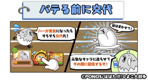 ひよこ大競争、交代