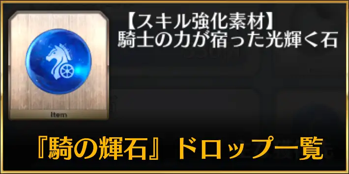 ライダーの輝石