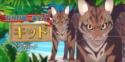 s_スクリーンショット 2017-10-17 15.12.55