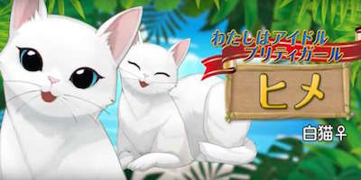 s_スクリーンショット 2017-10-17 15.12.01