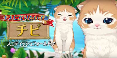 s_スクリーンショット 2017-10-17 15.11.35