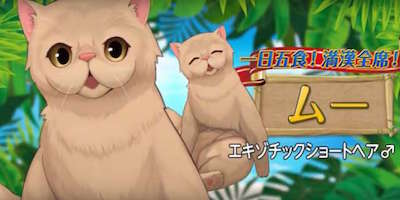 s_スクリーンショット 2017-10-17 15.13.09