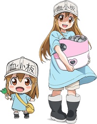 いつでもはたらく細胞_キャラクター紹介_血小板