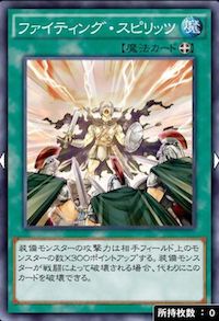 ファイティングスピリッツ