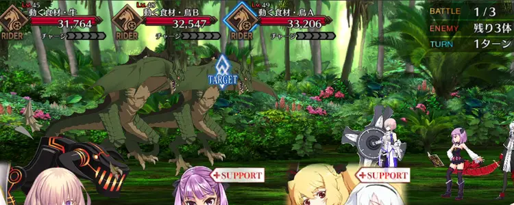 FGO_312