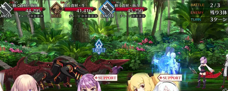 FGO_313