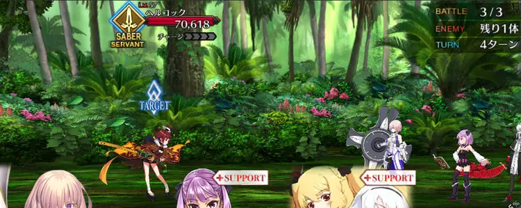 FGO_314