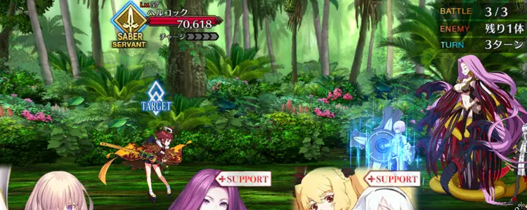 FGO_343