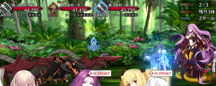 FGO_344