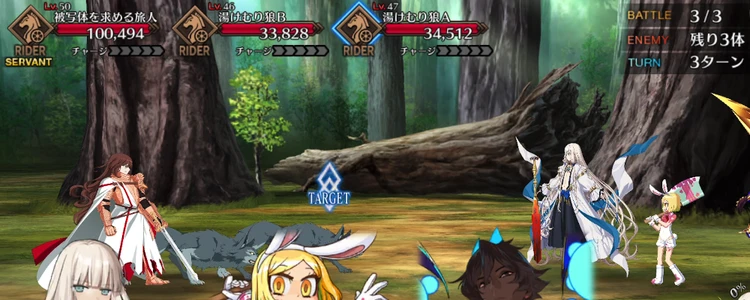 FGO_293