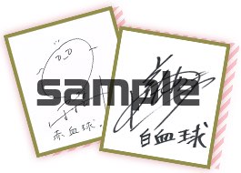 いつでもはたらく細胞_花澤香菜さん、前野智昭さんサイン色紙_icon