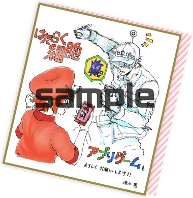 いつでもはたらく細胞_清水茜先生の複製サイン色紙_icon