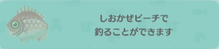 ポケ森__キングタイ_釣り方1