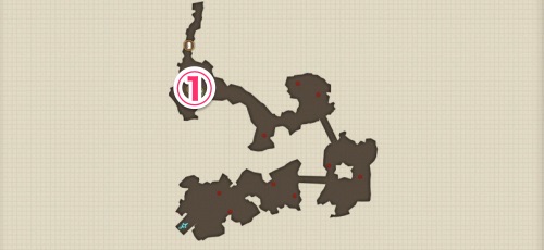 ライザのアトリエ_ランドマーク_仄暗い森