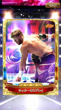 新日コレクション_概要2