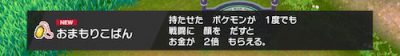 ポケモン剣盾_おまもりこばん入手時