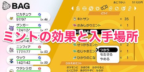 ポケモンソードシールド_ミントの効果と入手場所_アイキャッチ