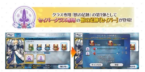 獣の足跡_セイバー