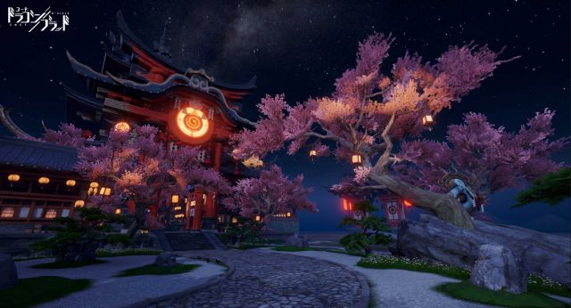 20200228CODEDBlood04