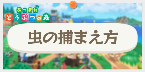 あつ森_虫の捕まえ方_アイキャッチ