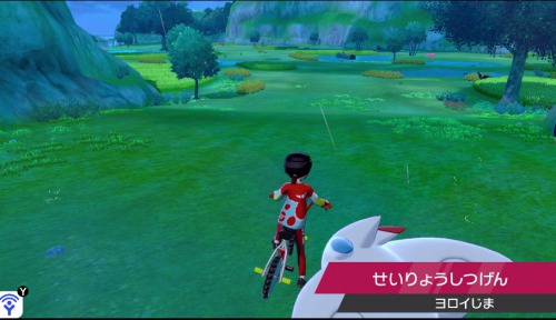 ポケモン剣盾 ダイキノコの効率的な入手方法 修業おすすめルートも掲載 鎧の孤島 Appmedia