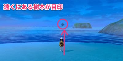 ポケモン剣盾 ミント島の行き方とメリット 鎧の孤島 Appmedia