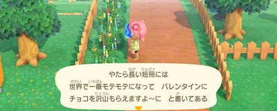 あつ森_たなばたのささ03