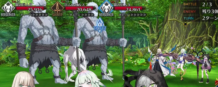 FGO_252