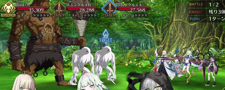 FGO_258