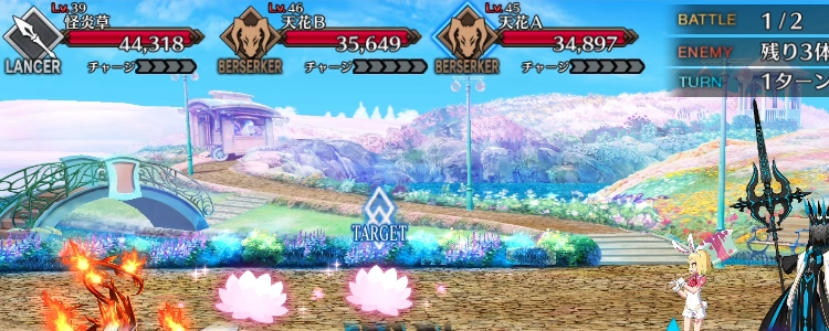 FGO_8