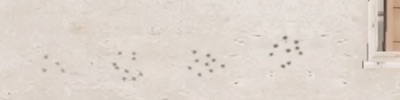 PUBGモバイル、M1014 4