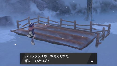 雪の畑_ポケモン剣盾