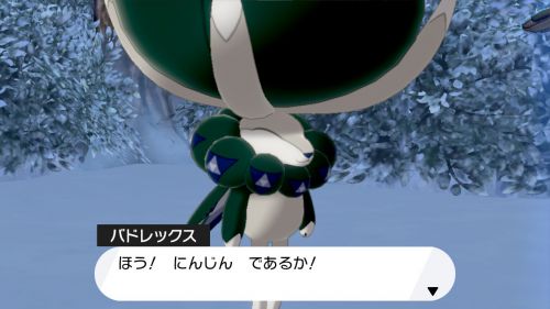 ポケモン剣盾 冠の雪原 攻略チャート ポケモンソードシールド Appmedia