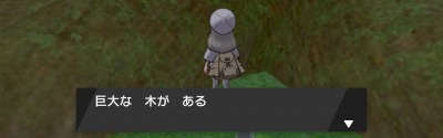 ポケモン剣盾_ダイ木の丘