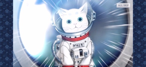 星5確定？_ねこ