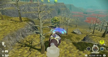 ポケモンアルセウス_攻略チャート_ヒナツの居場所4