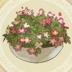 彩花の鉢植え_icon