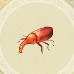赤甲虫_icon