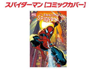 パズドラ_スパイダーマン装備1