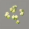 ほの暮しの庭_花の庭床