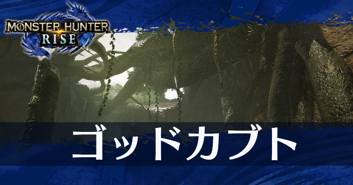 ライズ ピラミッド 頂上 モンハン