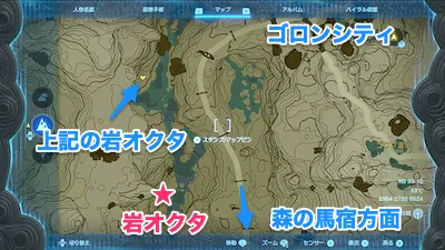 ティアキン_岩オクタ_5_map