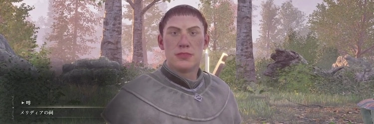 オブリビオン_メリディア_バナー