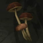 メタルギアソリッドデルタ_エゾテングダケ_アイコン