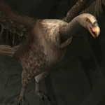 メタルギアソリッドデルタ_ベンガルハゲワシ_アイコン