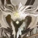 コードヴェイン_白狼の狂戦士_アイコン